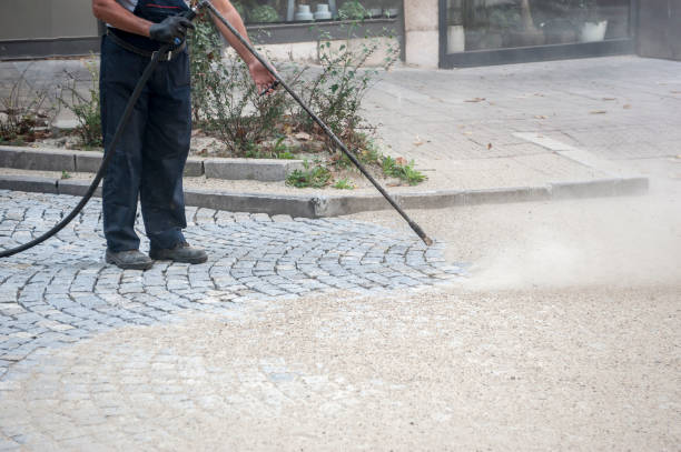 Best Building Exterior Washing  in Timnath, CO